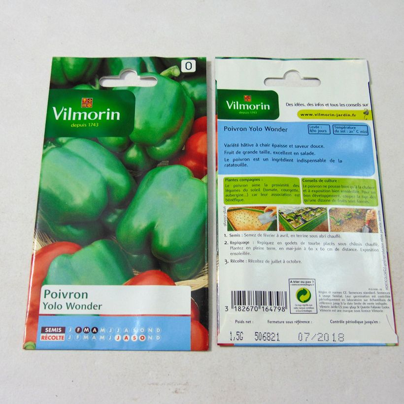 Example of Sweet Pepper Yolo Wonder - Vilmorin Seeds per pack of 180 seeds (1,5g) specimen as delivered