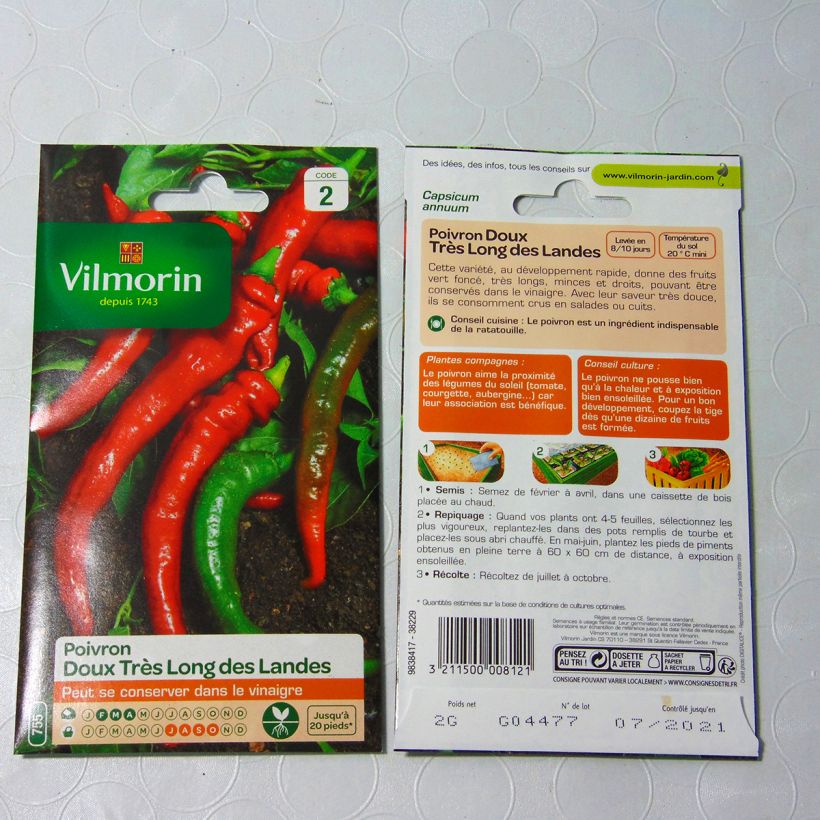 Example of Sweet Basil - Large Leaf Italian Basil Vilmorin Seeds per pack of 240 seeds (2g) specimen as delivered