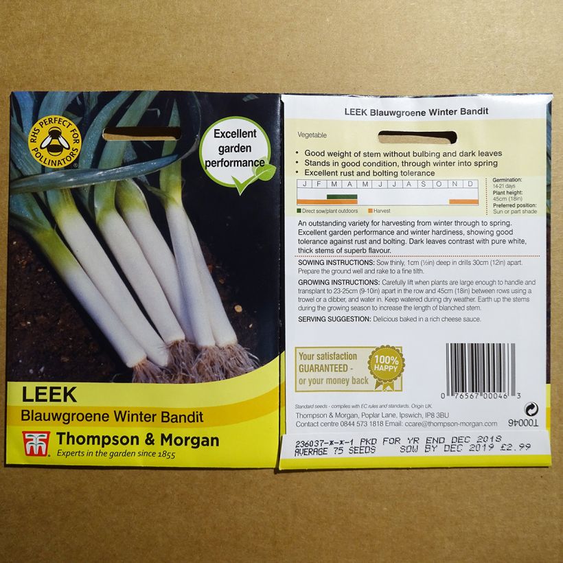 Example of Leek Blauwgroene Winter Bandit - Allium porrum per pack of 250 seeds specimen as delivered