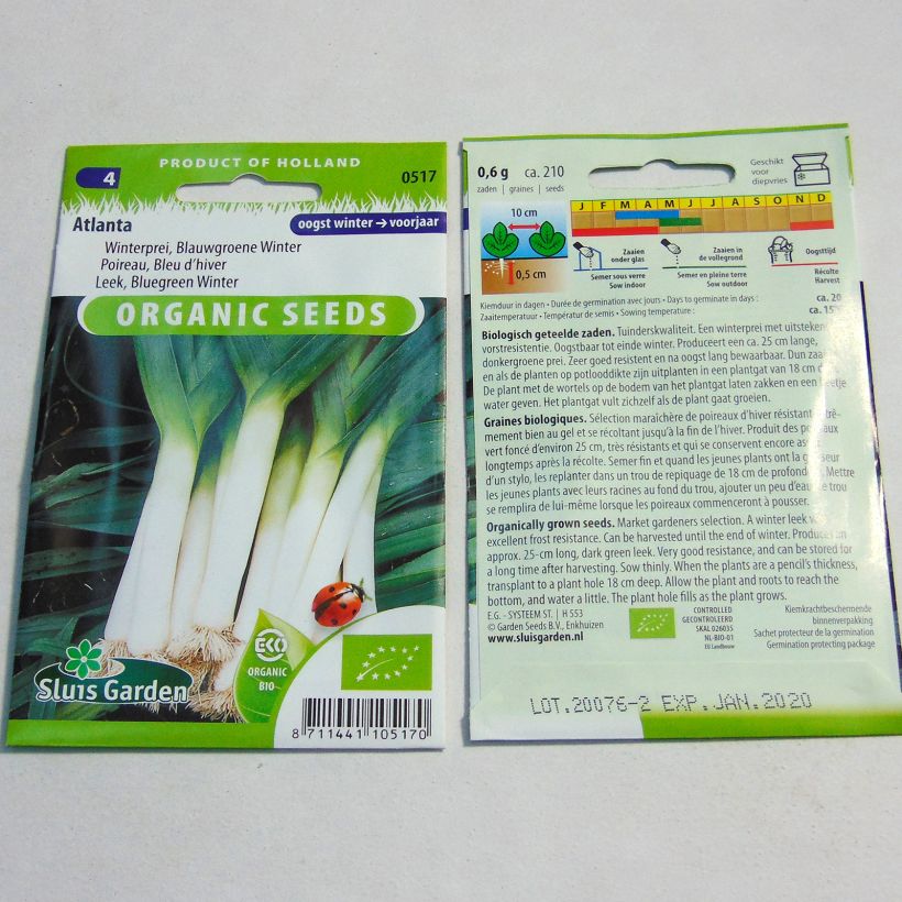 Example of Leek Atlanta per pack of 210 seeds specimen as delivered
