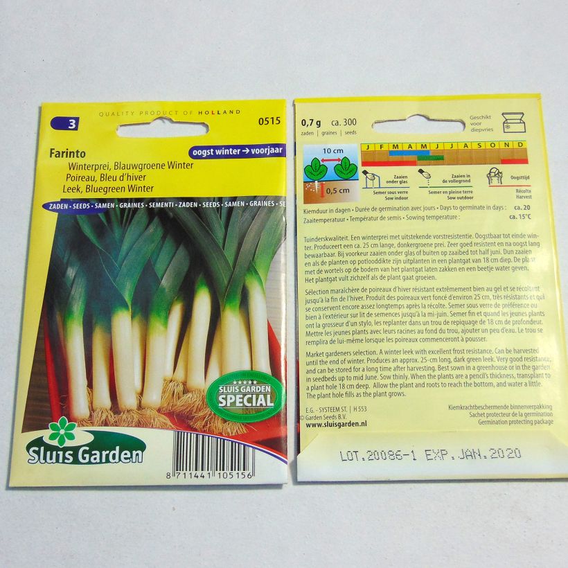 Example of Leek Farinto per pack of 300 seeds specimen as delivered