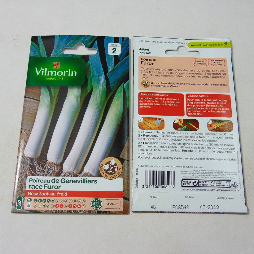 Example of Furor Leek (Vilmorin seeds Creation) - Allium porrum per pack of 1000 seeds (4g) specimen as delivered