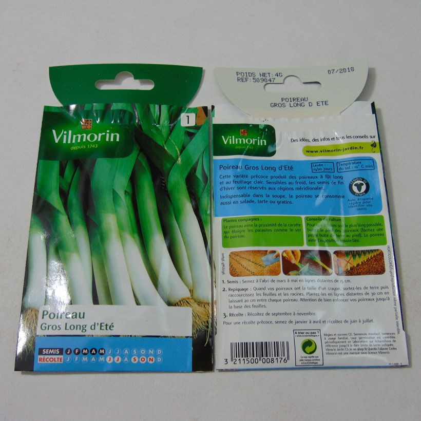 Example of Leek Gros Long dEté 2 - Vilmorin Seeds per pack of 1000 seeds (4g) specimen as delivered