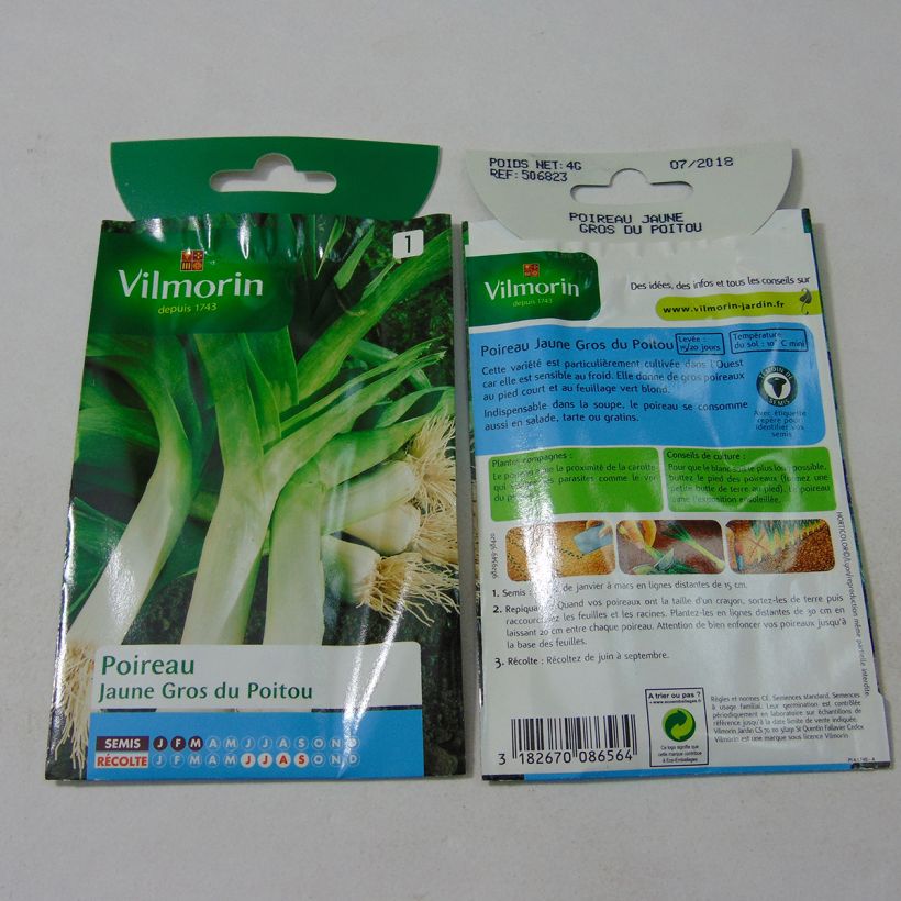 Example of Yellow large from Poitou Leek - Vilmorin seeds - Allium porrum per pack of 1000 seeds (4g) specimen as delivered