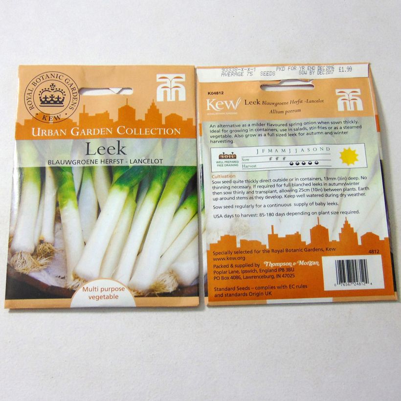 Example of Lancelot Leek - Allium porrum per pack of 250 seeds specimen as delivered