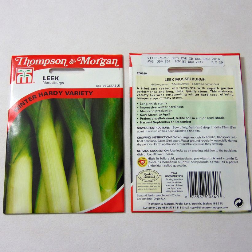 Example of Leek Musselburgh - Allium porrum per pack of 350 seeds specimen as delivered