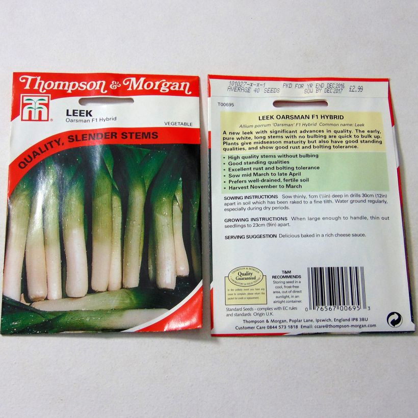 Example of Oarsman F1 Leek - Allium porrum per pack of 40 seeds specimen as delivered