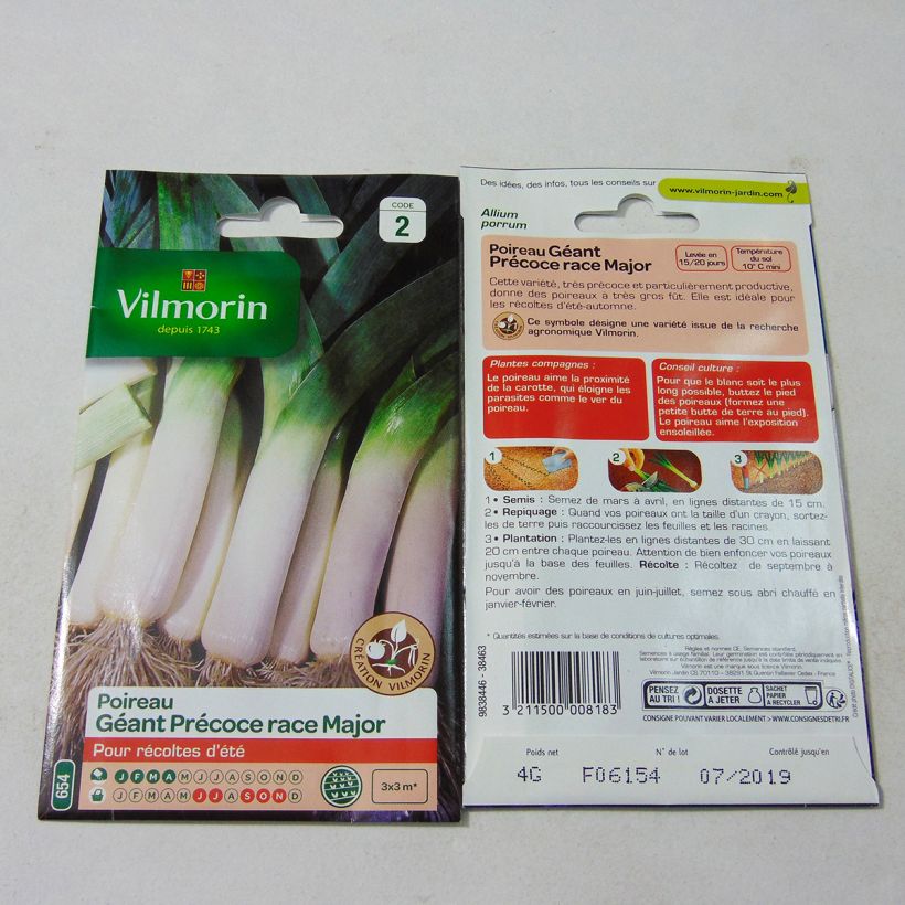 Example of Leek Early Giant Major - Vilmorin Seeds per pack of 1000 seeds (4g) specimen as delivered