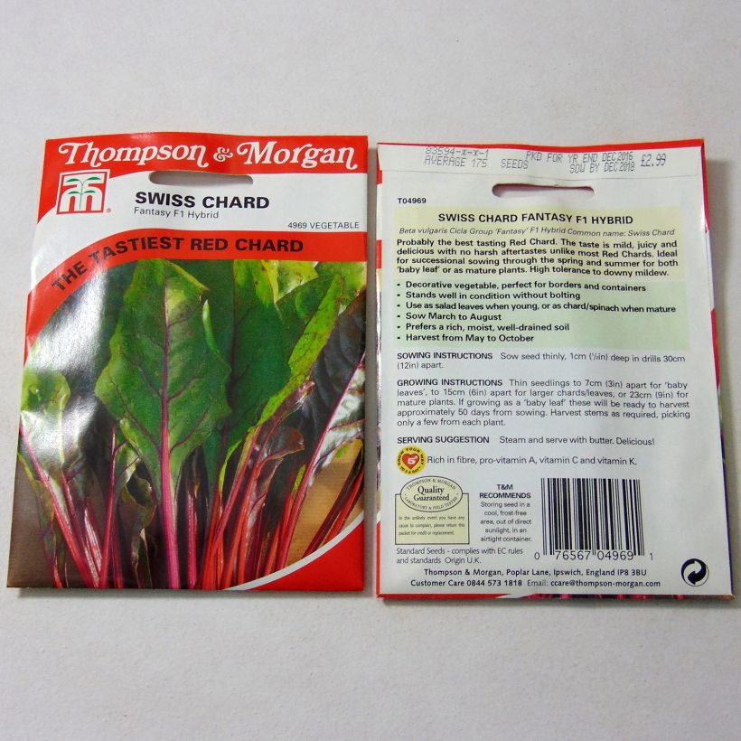 Example of Swiss Chard Fantasy per pack of 175 seeds specimen as delivered
