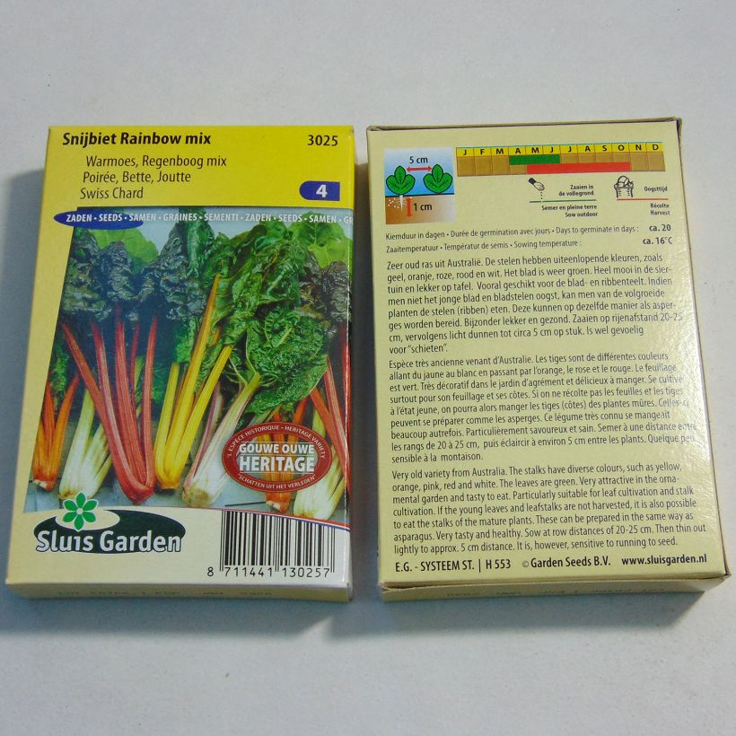 Example of Swiss Chard Rainbow Mix per pack of 400 seeds (15g) specimen as delivered