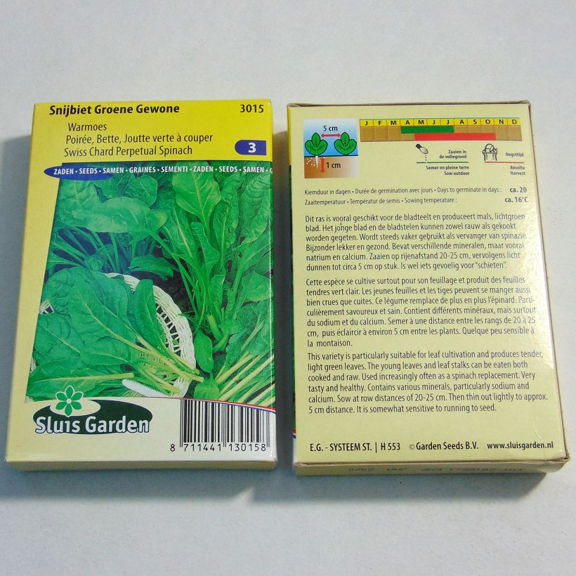 Example of Perpetual Spinach Chard Groene Gewone 2 per pack of 1000 seeds (25g) specimen as delivered