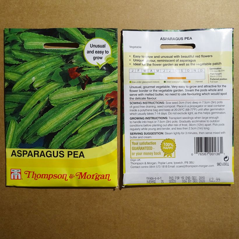Example of Lotus tetragonolobus - Asparagus Pea per pack of 35 seeds specimen as delivered