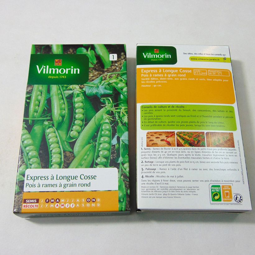 Example of Express Climbing Peas with long pods (The Generous) - Vilmorin seeds specimen as delivered