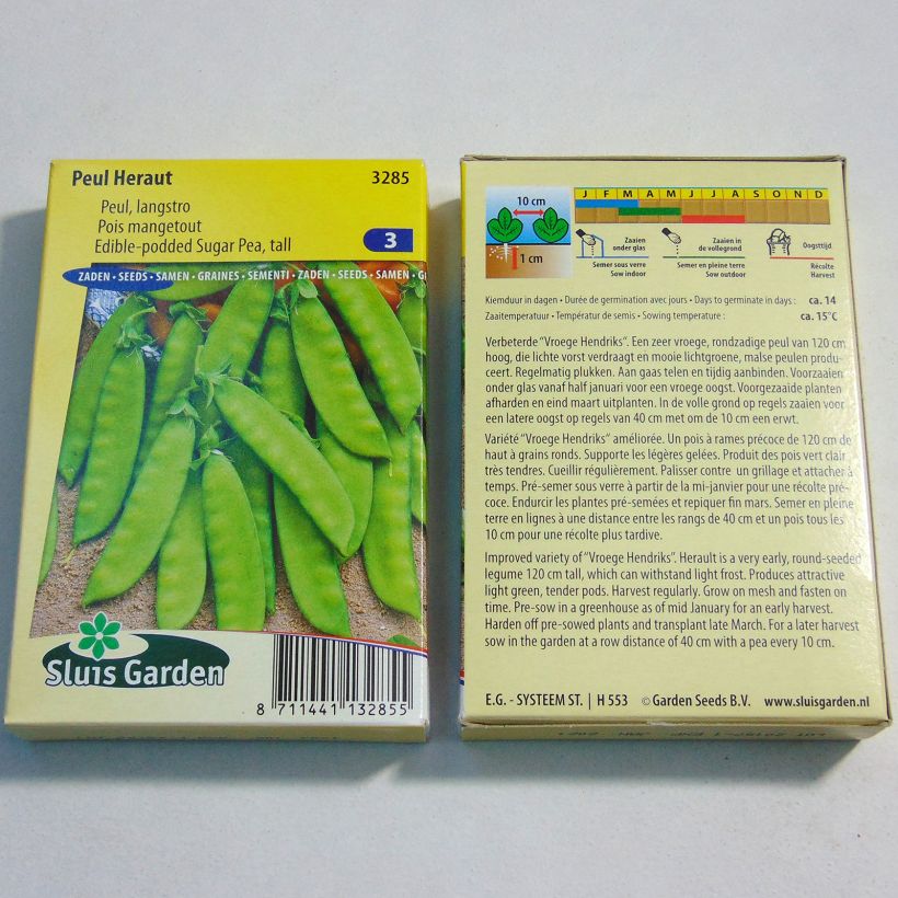 Example of Mangetout Pea Heraut per pack of 250-300 seeds (100g) specimen as delivered