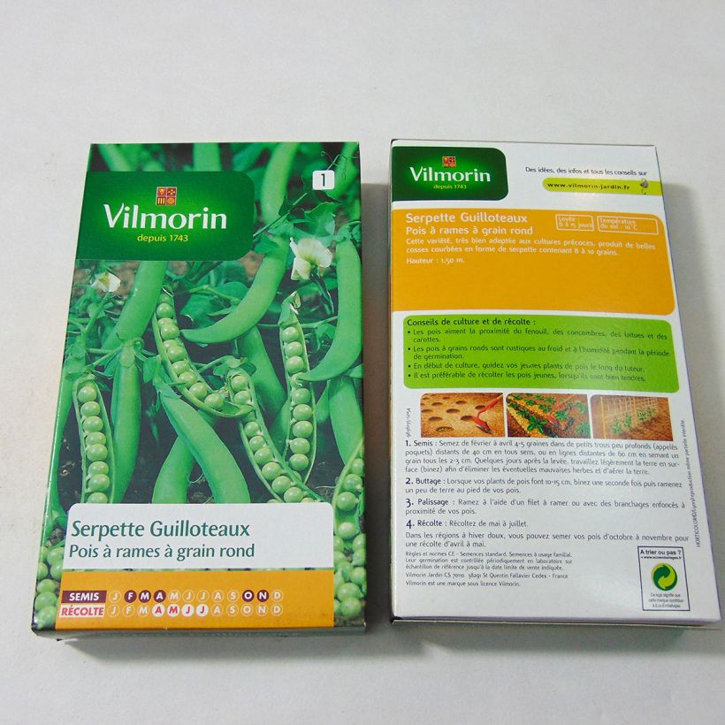 Example of Climbing Serpette Guilloteaux Pea with Round Peas per pack of 600 seeds (200g) specimen as delivered
