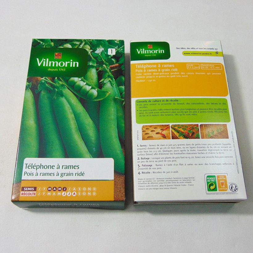 Example of Pea Telephone with wrinkled grains - Vilmorin seeds per pack of 600 seeds (200g) specimen as delivered