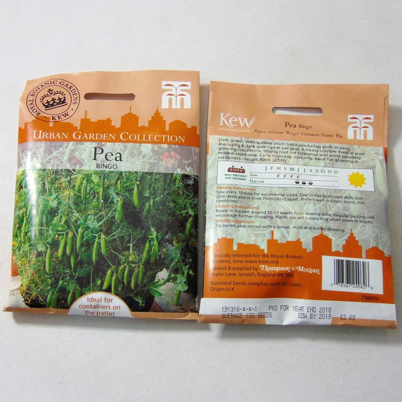 Example of Bingo Semi-climbing Pea per pack of 100 seeds specimen as delivered