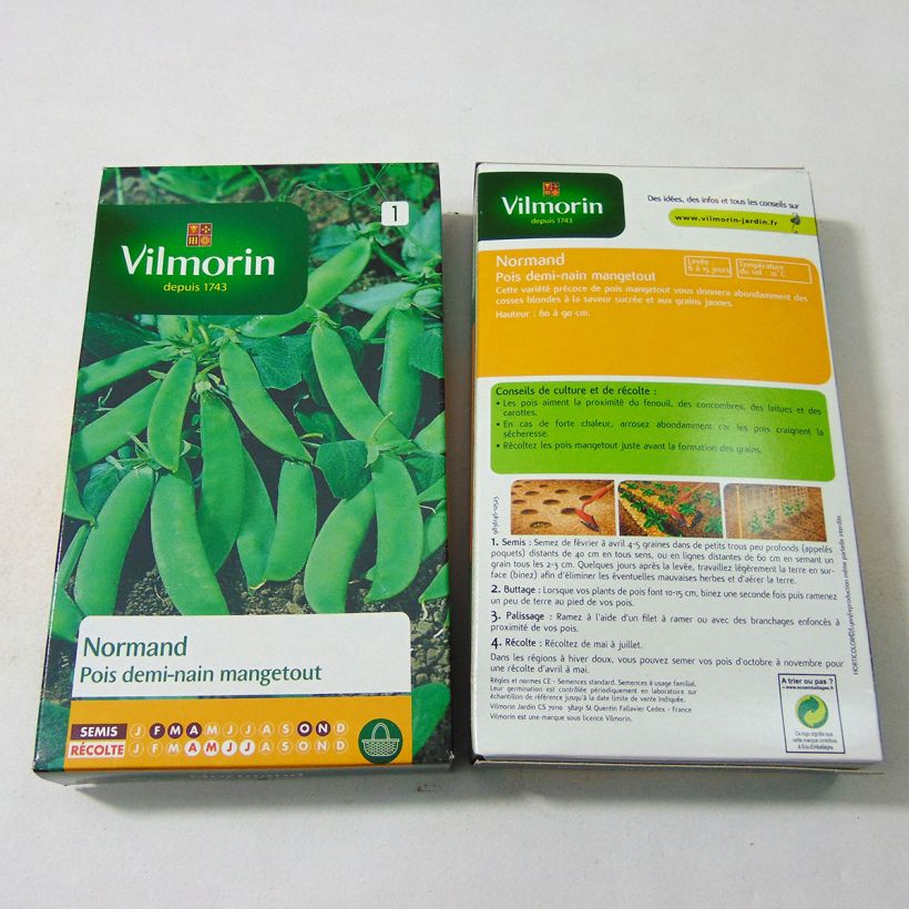Example of Mangetout Pea Normand - Vilmorin Seeds per pack of 540 seeds (180g) specimen as delivered