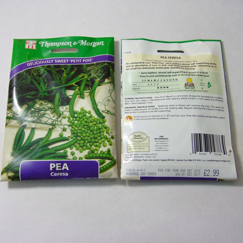 Example of Dwarf Pea Ceresa per pack of 250 seeds specimen as delivered