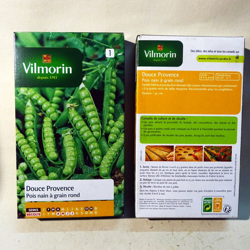 Example of Dwarf Pea Douce Provence with round grain - Vilmorin seeds per pack of 400 seeds specimen as delivered