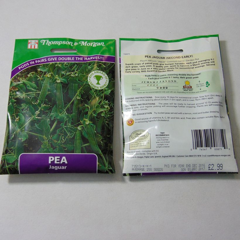 Example of Jaguar Dwarf Pea specimen as delivered