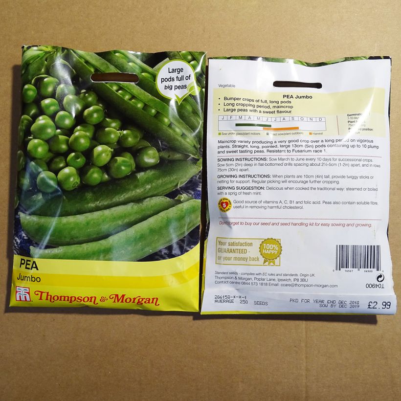 Example of Jumbo Dwarf Pea per pack of 250 seeds specimen as delivered