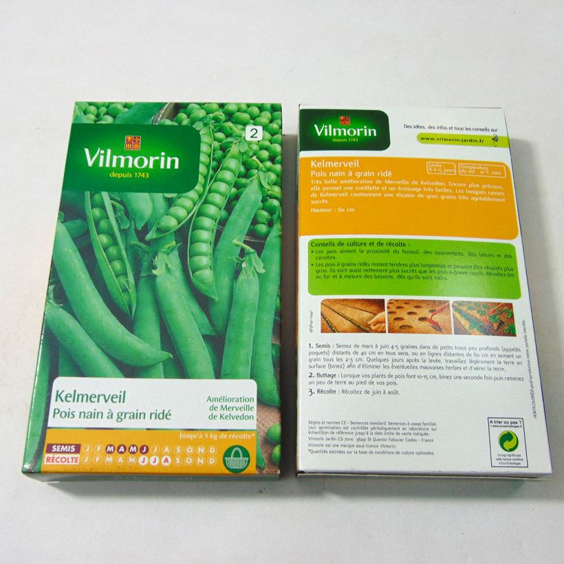 Example of Dwarf Pea Kelmerveil - Vilmorin Seeds per pack of 600 seeds (200g) specimen as delivered