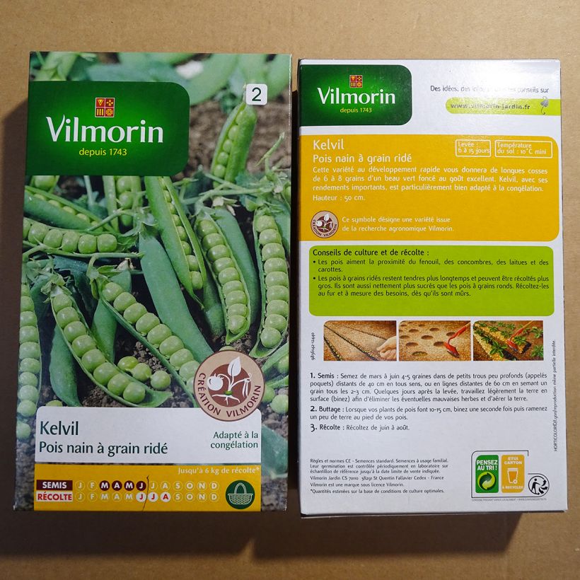 Example of Dwarf Pea Kelvil - Vilmorin Seeds per pack of 750 seeds specimen as delivered
