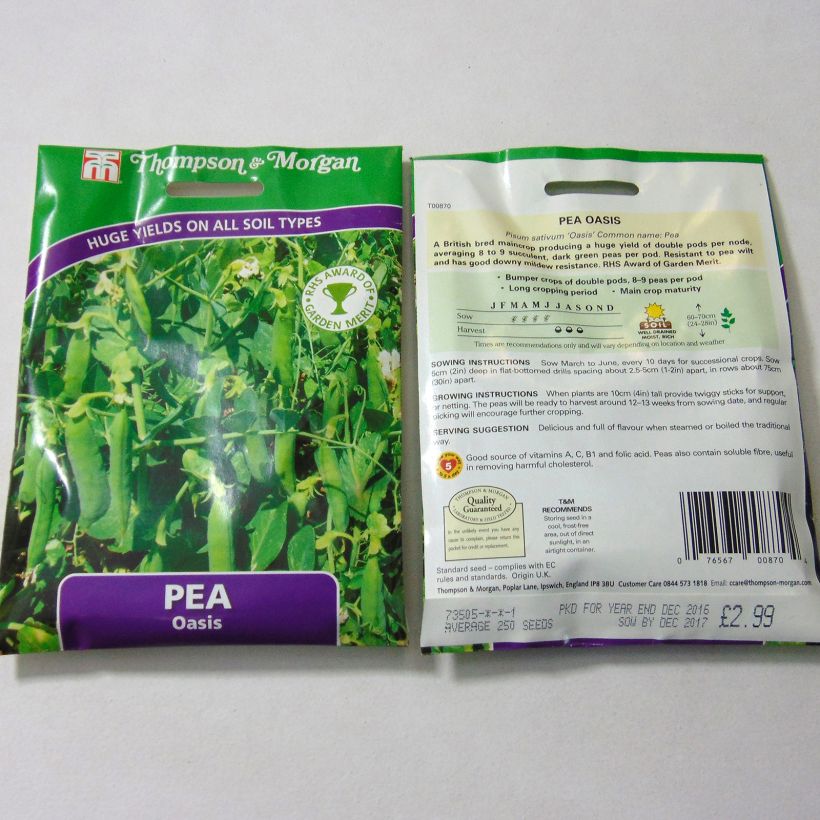 Example of Dwarf Late Season Oasis Pea per pack of 250 seeds specimen as delivered