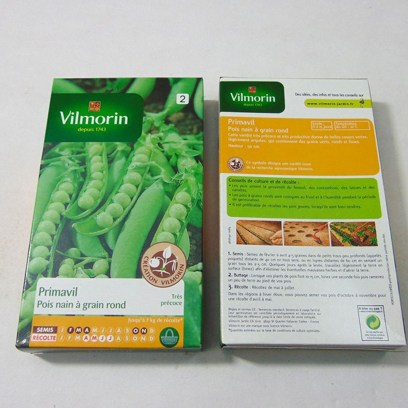 Example of Dwarf Early Pea Primavil per pack of 600 seeds (200g) specimen as delivered