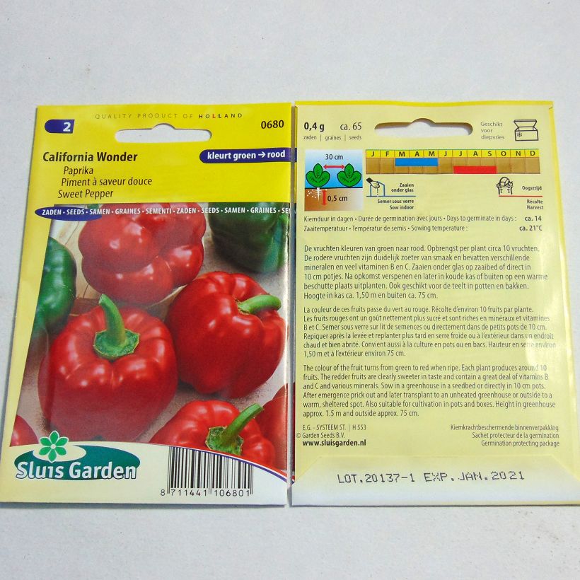 Example of Sweet Pepper California Wonder per pack of 60 seeds (0,5g) specimen as delivered