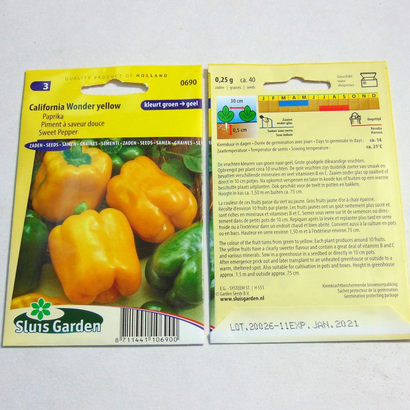 Example of Sweet Pepper Golden Calwonder per pack of 40 seeds specimen as delivered