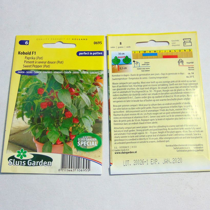 Example of Sweet Pepper Kobold F1 per pack of 8 seeds specimen as delivered