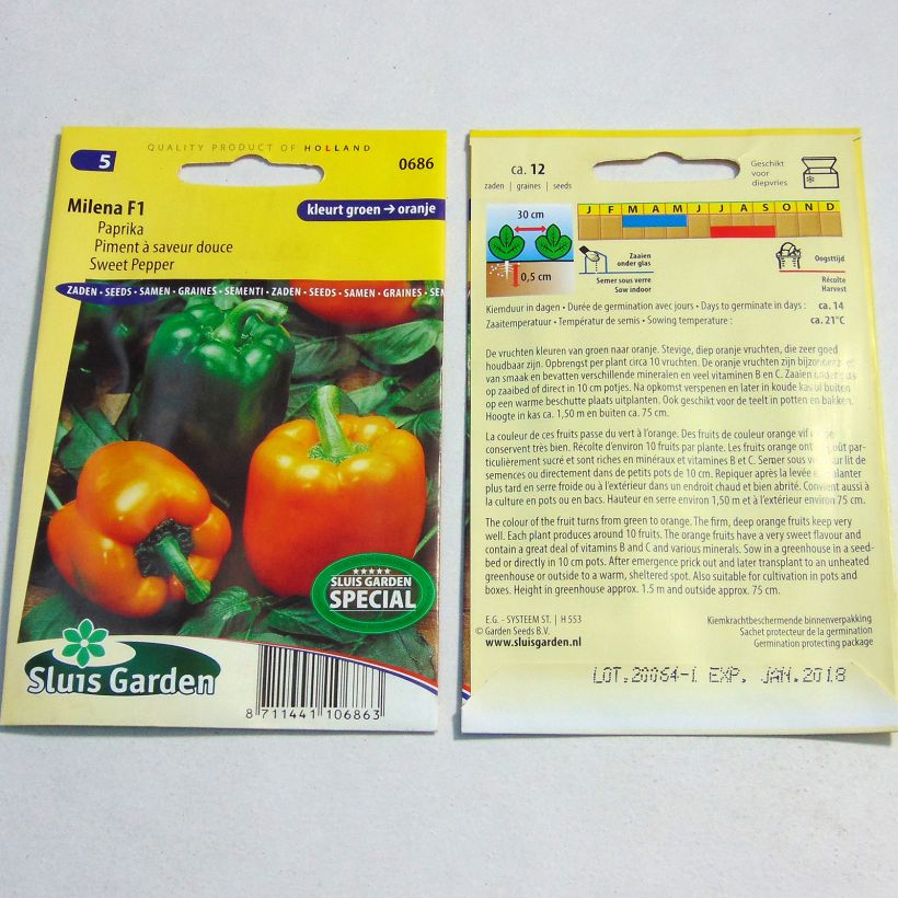 Example of Sweet Pepper Milena F1 per pack of 12 seeds specimen as delivered