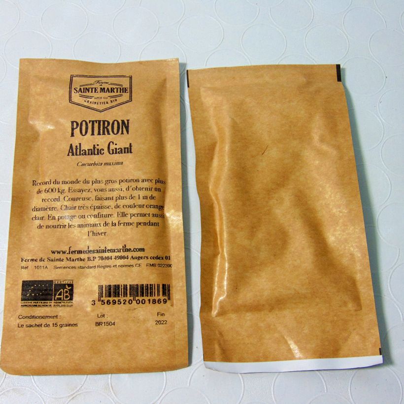 Example of Pumpkin Atlantic Giant - Ferme de Sainte Marthe Seeds per pack of 10 seeds (4g) specimen as delivered