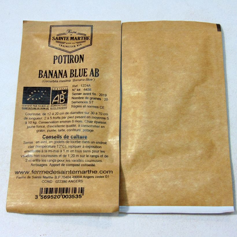 Example of Squash Banana Blue - Cucurbita maxima per pack of 20 seeds (5g) specimen as delivered