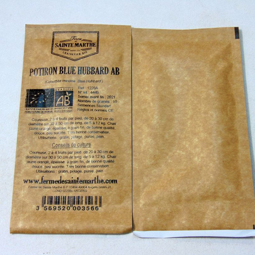 Example of Squash Blue Hubbard - Ferme de Sainte Marthe Seeds per pack of 10 seeds (3g) specimen as delivered