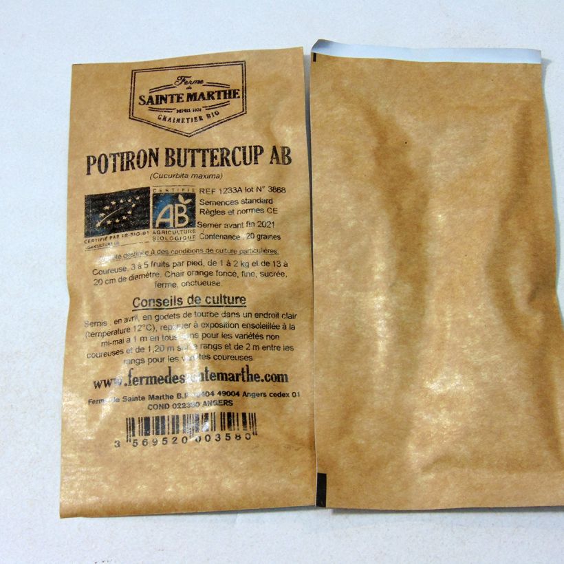 Example of Squash Buttercup - Ferme de Sainte Marthe Seeds per pack of 20 seeds (3g) specimen as delivered