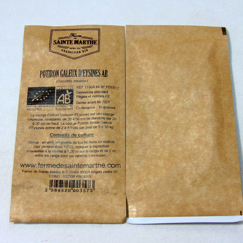 Example of Squash Galeuse dEysines - Ferme de Sainte Marthe Seeds per pack of 10 seeds (2g) specimen as delivered