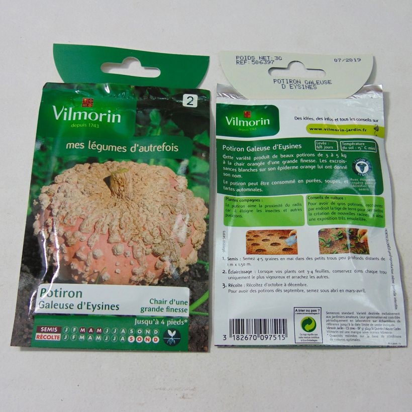 Example of Winter squash Galeuse dEysines - Vilmorin Seeds per pack of 18 seeds (3g) specimen as delivered