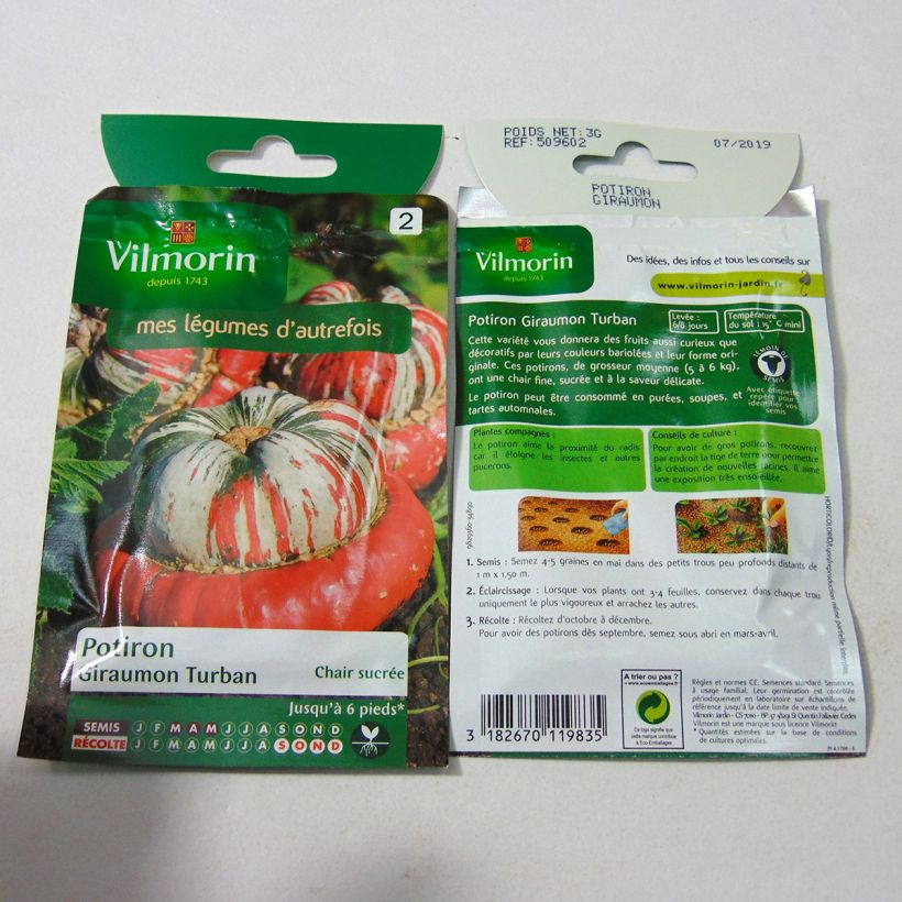 Example of Squash Turks Turban - Vilmorin Seeds per pack of 18 seeds (3g) specimen as delivered