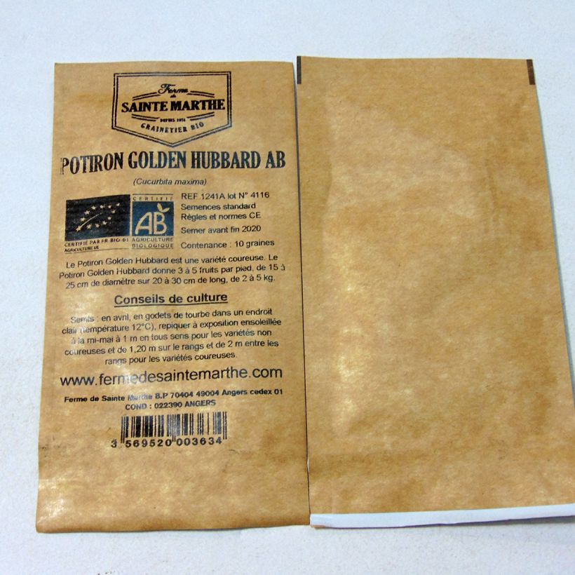 Example of Squash Golden Hubbard - Ferme de Sainte Marthe Seeds per pack of 10 seeds (2g) specimen as delivered