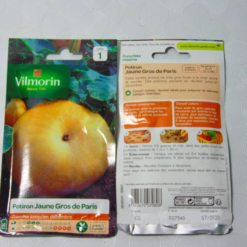 Example of Pumpkin Yellow Paris - Vilmorin Seeds per pack of 36 seeds (6g) specimen as delivered