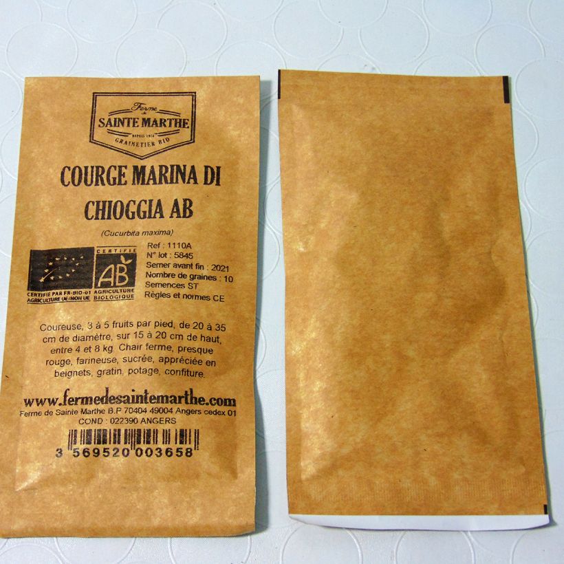 Example of Winter Squash Marina di Chioggia - Ferme de Sainte Marthe Seeds per pack of 10 seeds (3g) specimen as delivered