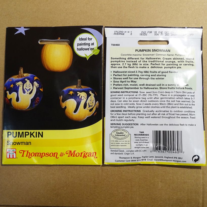 Example of Pumpkin Snowman - Cucurbita maxima per pack of 8 seeds specimen as delivered