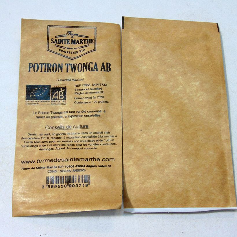 Example of Organic Pimpkin Twonga - Ferme de Sainte Marthe seeds - Cucurbita cerifera per pack of 20 seeds (1g) specimen as delivered