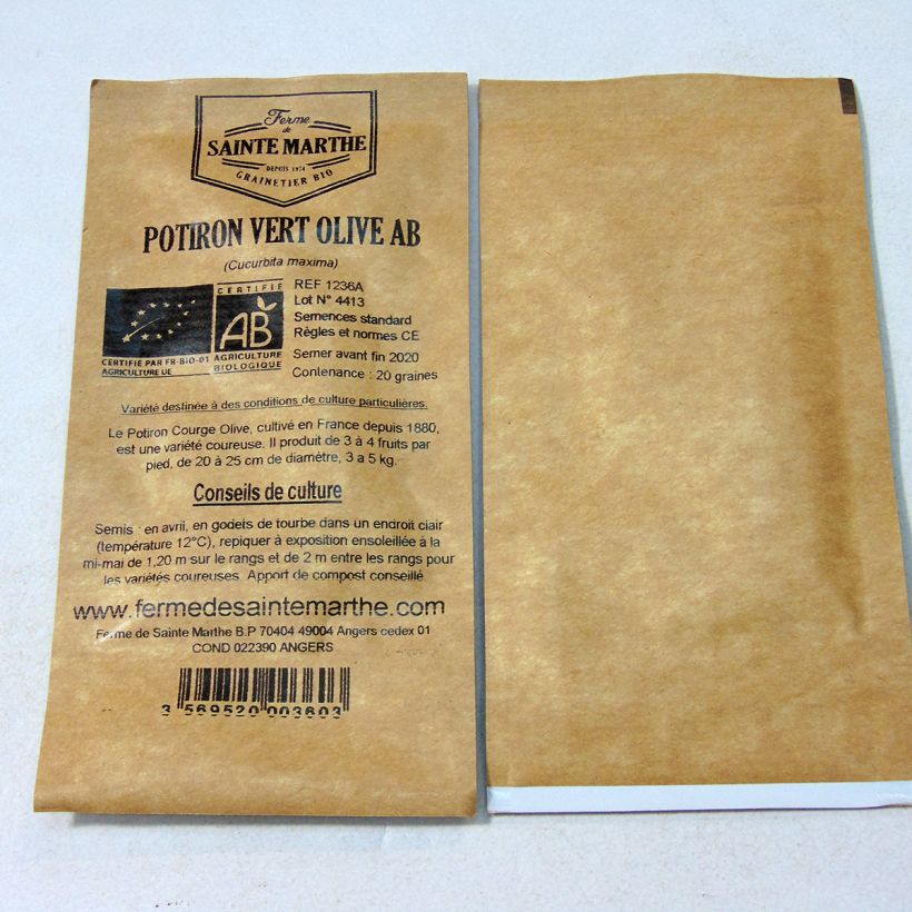 Example of Organic Pumpkin Vert Olive - Ferme de Sainte Marthe seeds - Cucurbita maxima per pack of 20 seeds (4g) specimen as delivered