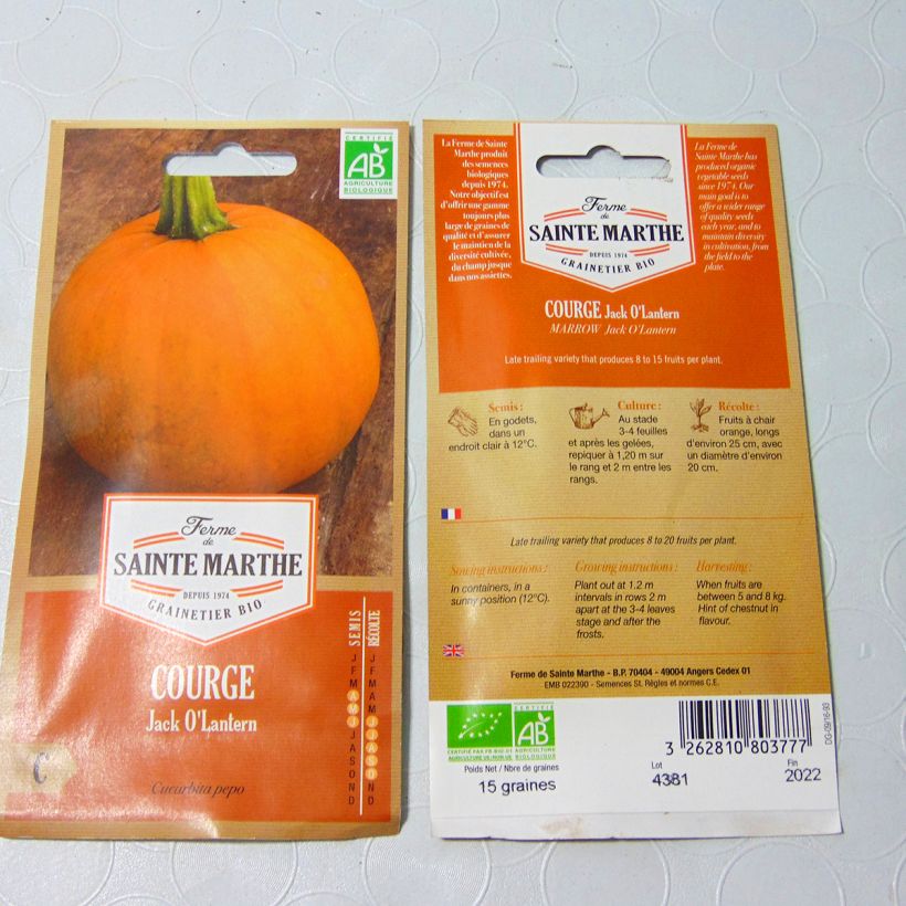 Example of Halloween Pumpkin Jack OLantern - Ferme de Sainte Marthe Seeds per pack of 8 seeds (1g) specimen as delivered