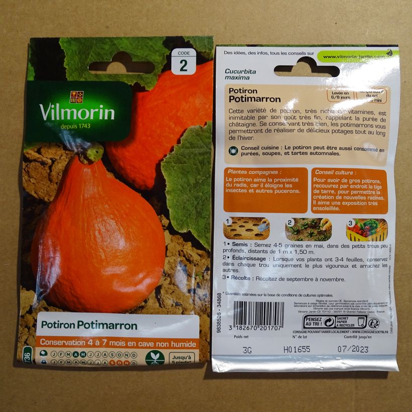Example of Red Kuri Squash - Vilmorin seeds - Cucurbita maxima per pack of 18 seeds (3g) specimen as delivered