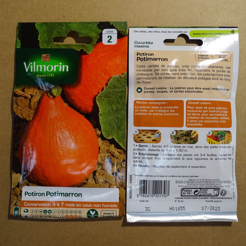 Example of Red Kuri Squash - Vilmorin seeds - Cucurbita maxima specimen as delivered